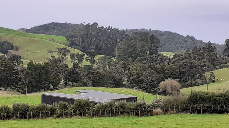 Mahurangi West Villa - The view of the house's roof  from the road