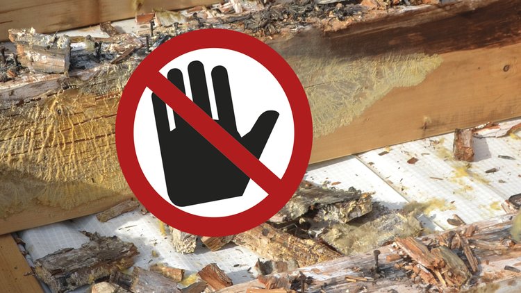 This photo shows mould damage on a wooden floor structure, with a stop symbol superimposed on the photo.