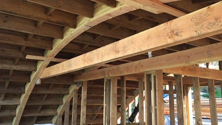 Taylors Mistake House - Roof Construction