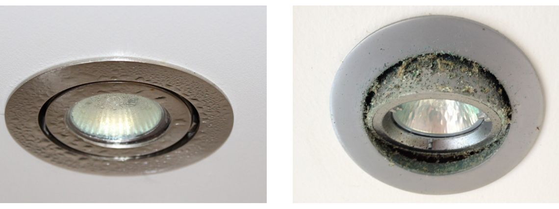 Figure 20: Cold surfaces and moisture-laden airflow lead to condensation and fungal growth.
