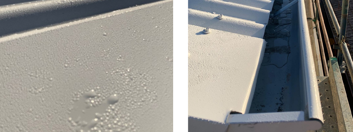Figure 8: Early hours of the morning condensation due to night-sky cooling.