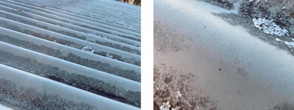 Accumulation of grime and lichens on the roof.