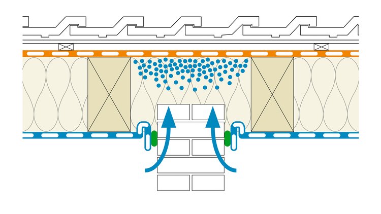 Flankendiffusion